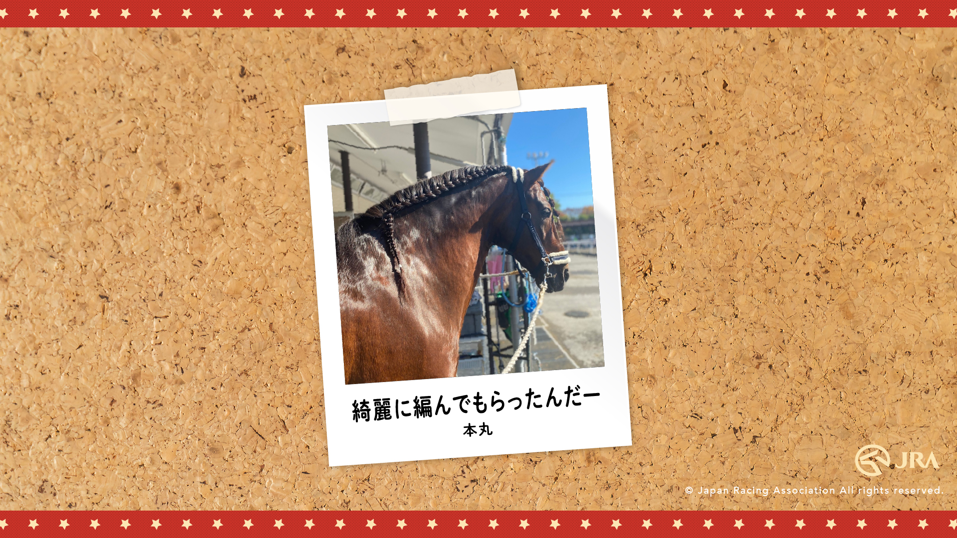 お馬さんのオフショット Jra 東京競馬場乗馬センター