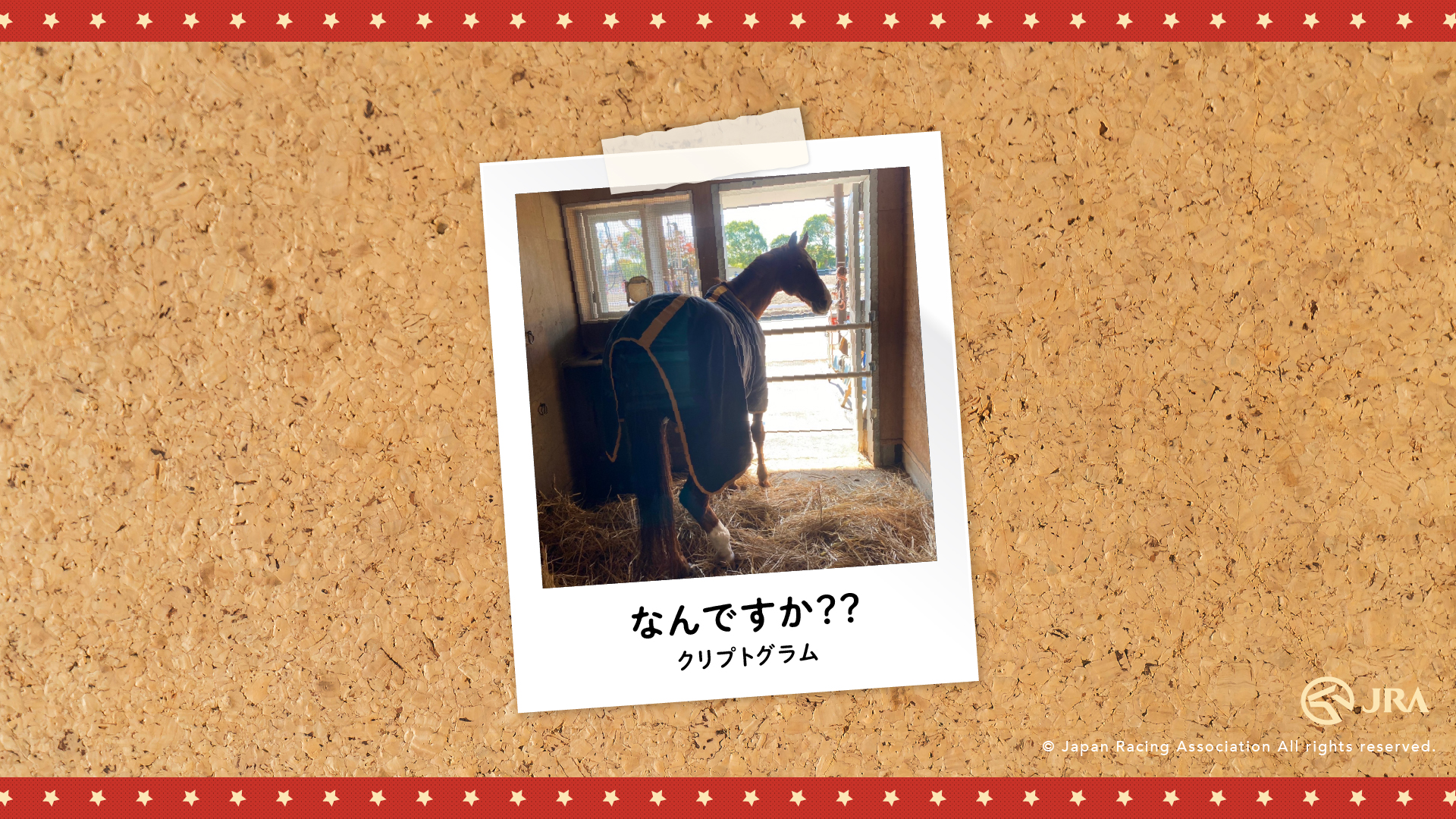 お馬さんのオフショット Jra 東京競馬場乗馬センター